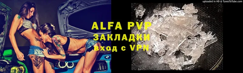 Alpha PVP СК  Каргополь 